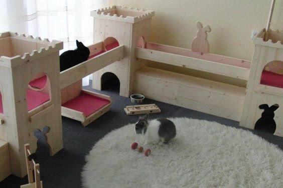 Comment Faire Une Maison En Carton Pour Lapin | Ventana Blog